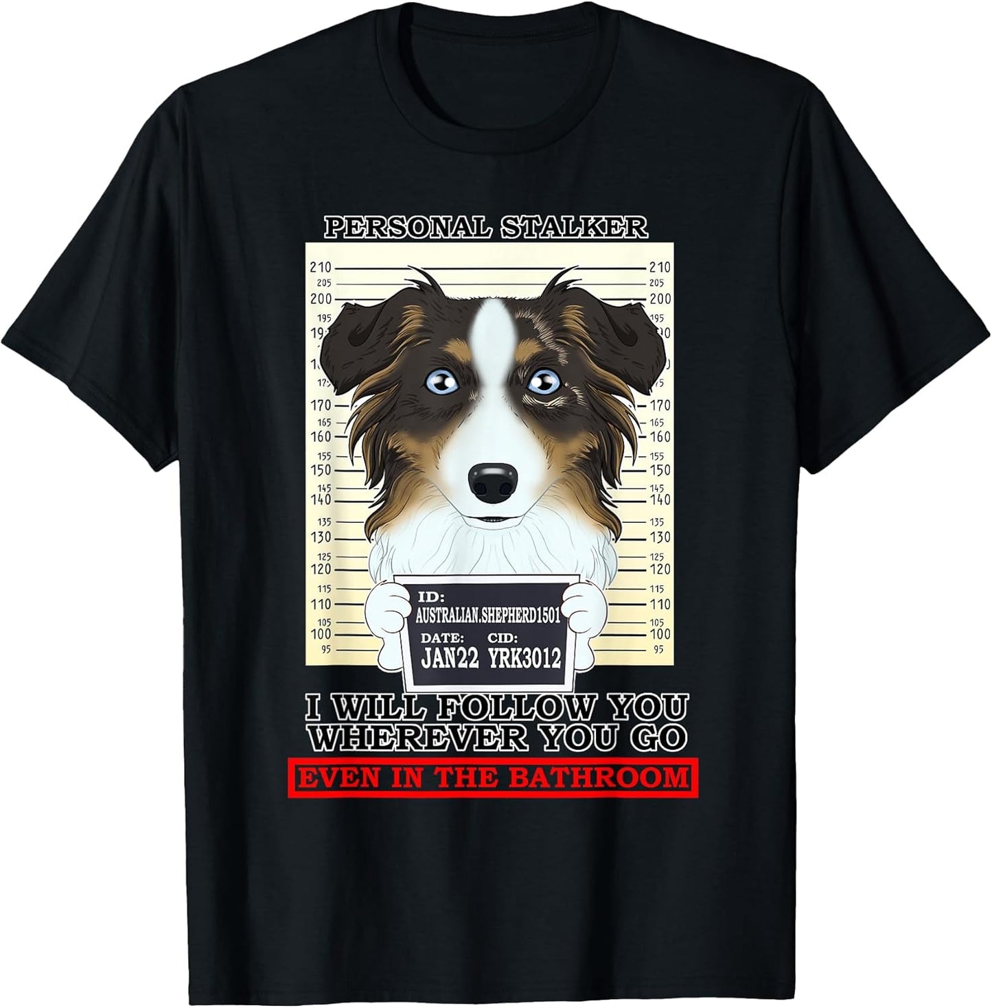 Personal Stalker Australian Shepherd