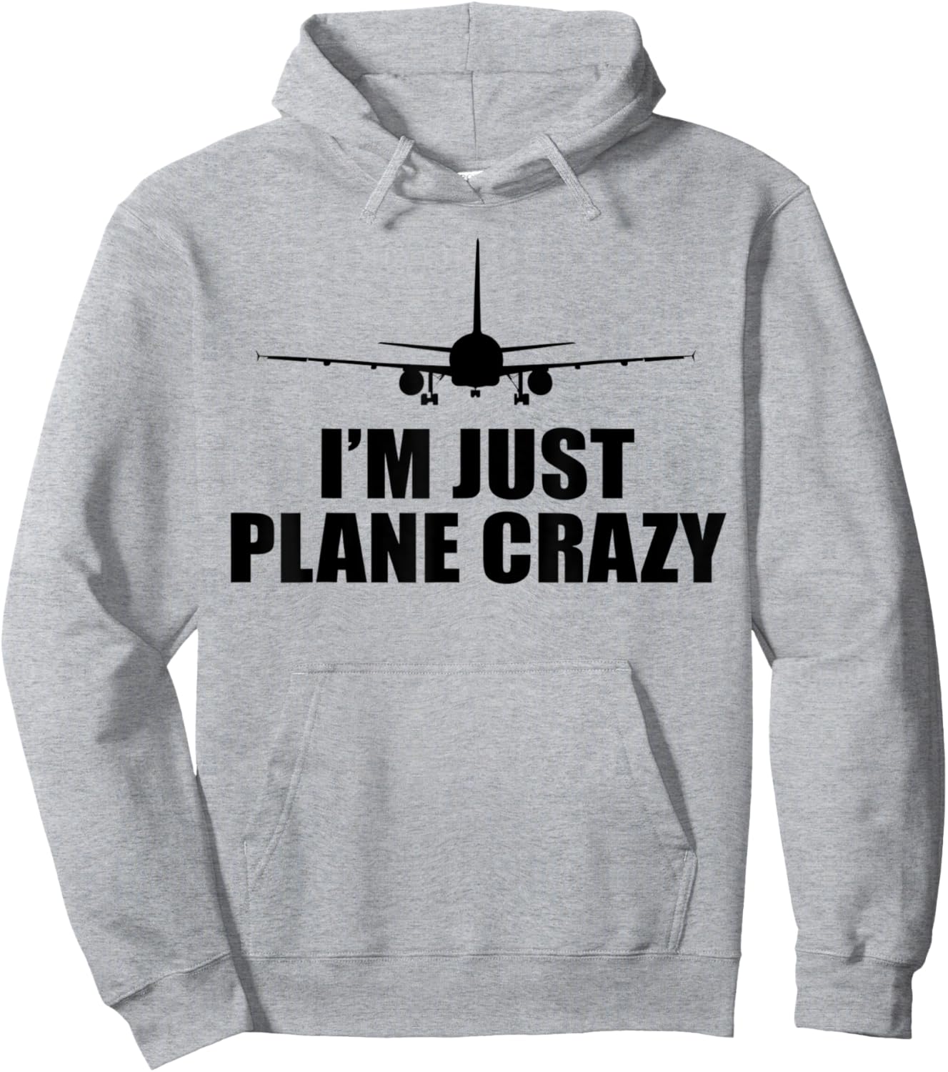 I'M JUST PLANE CRAZY Funny Airplane Pilot Meme Hoodie - Hoodie | Ash