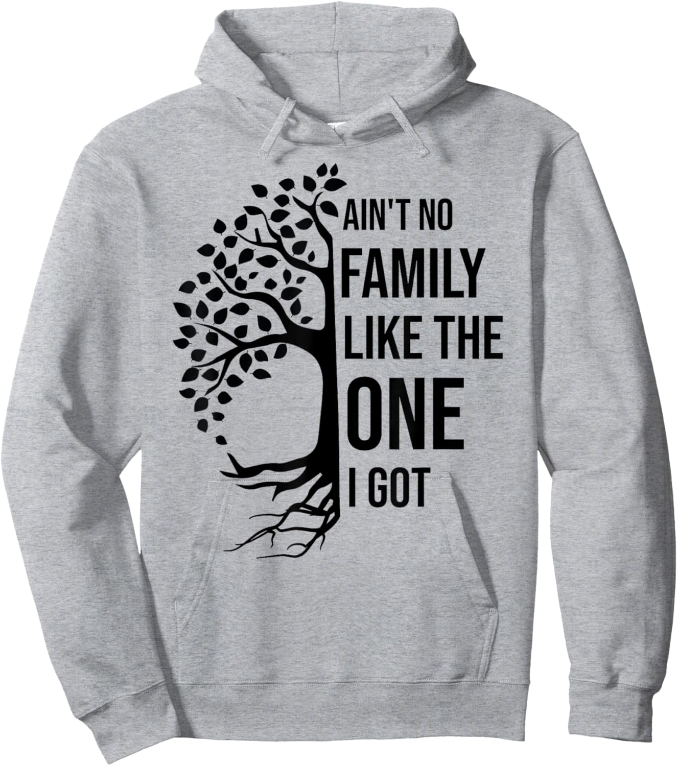 Ain't No Family Like The One I Got Funny Family Reunion Hoodie - Hoodie | Ash