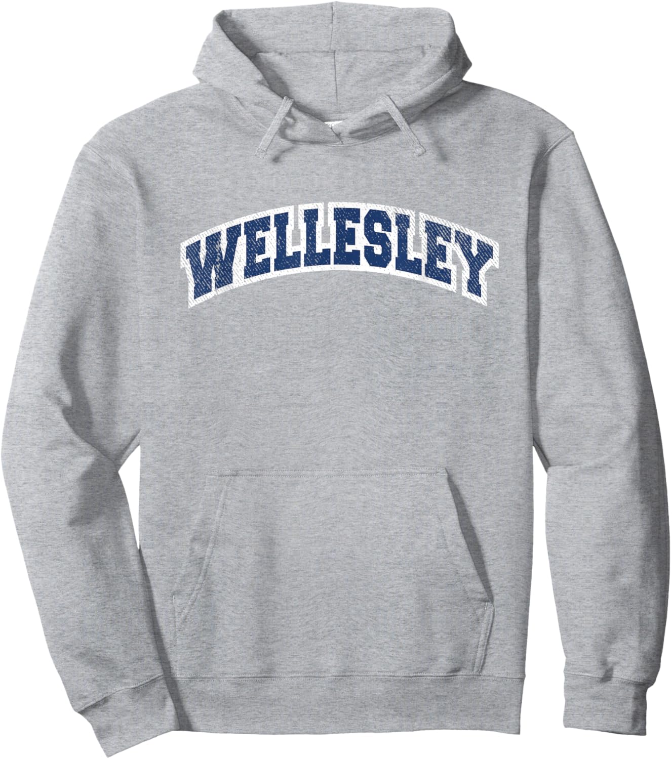 Wellesley Massachusetts Varsity Style Vintage Hoodie - Hoodie | Ash