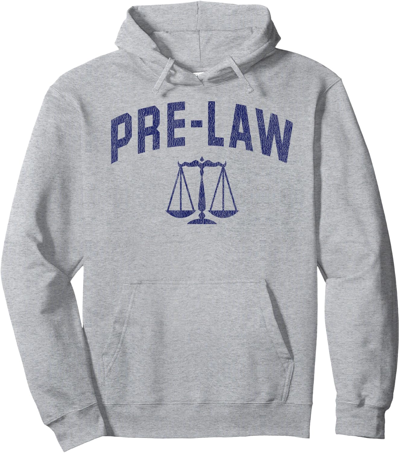 Pre-law Student Graduation Future Law School Student Hoodie - Hoodie | Ash