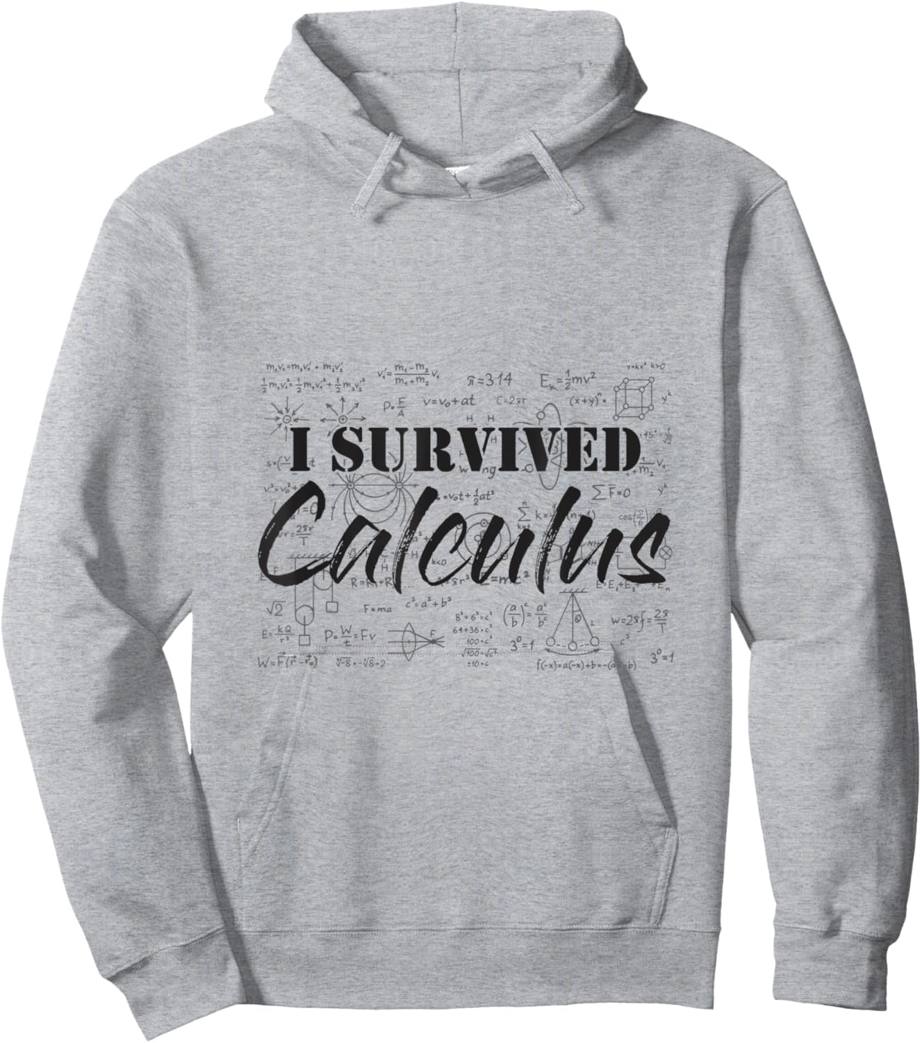 I Survived Calculus, Easy Calculus, Gifts for Math Lover Hoodie - Hoodie | Ash