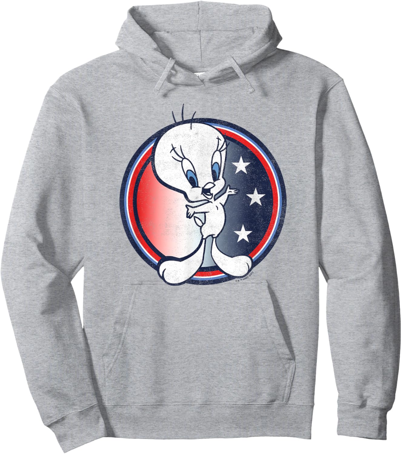 Looney Tunes Tweety Bird Fourth Of July Americana Circle Hoodie - Hoodie | Ash