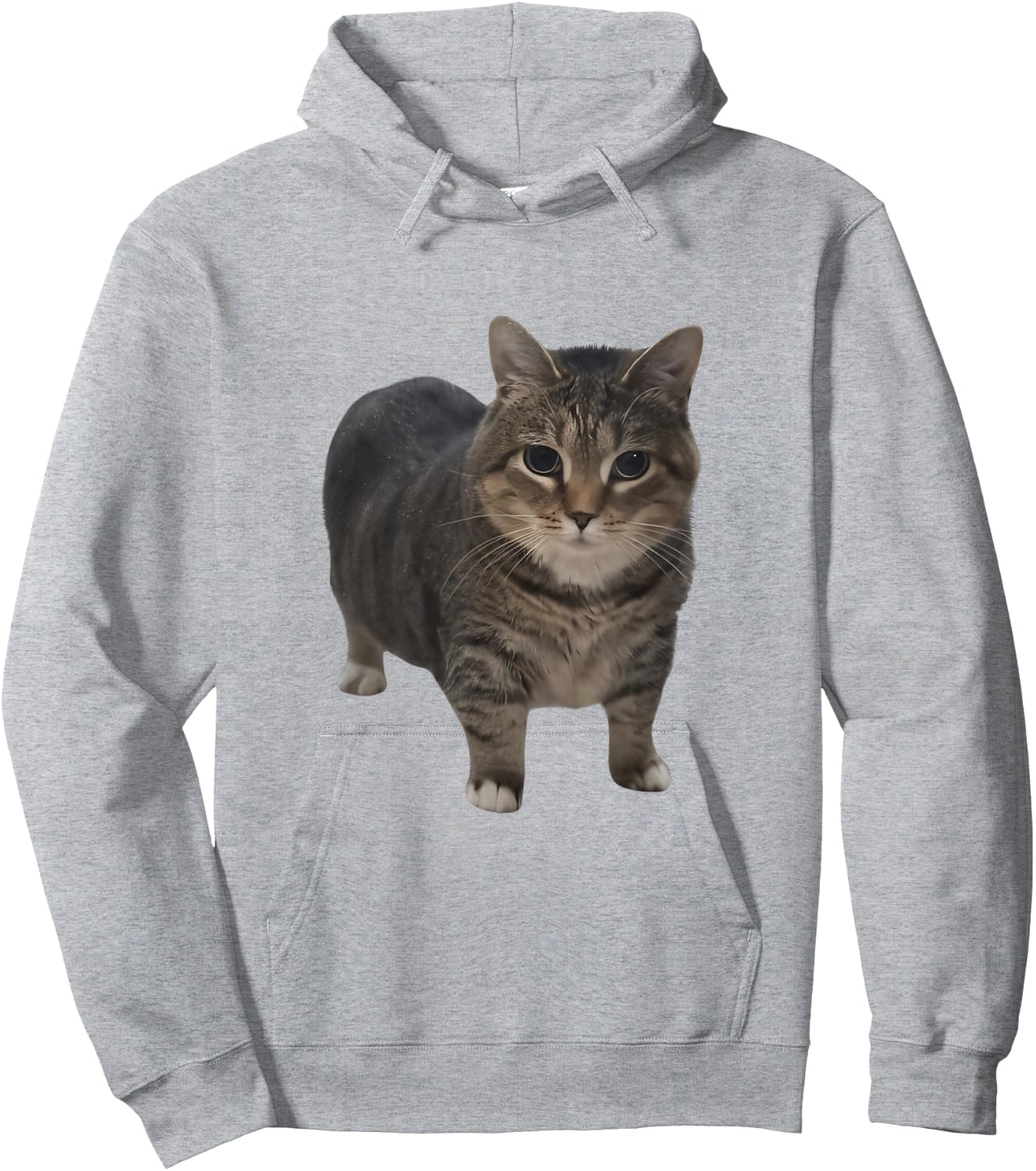 Funny oiia oiia Spinning Cat Meme Oiiai Oiiiai brainrot Men Women Kids Hoodie - Hoodie | Ash