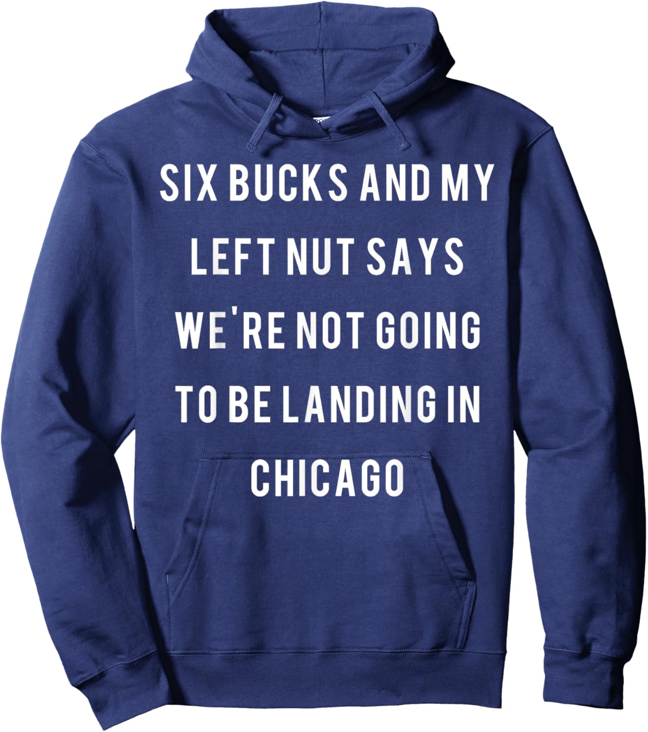 Six bucks and my left nut says we're not going to be landing Hoodie - Hoodie | Navy