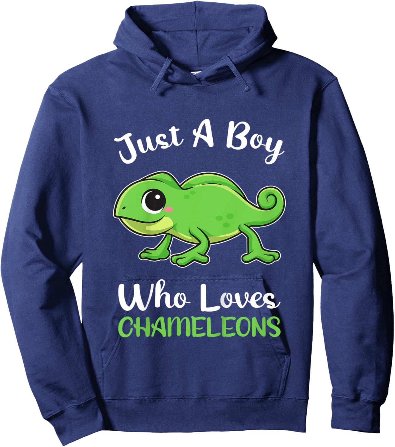 Kids Just A Boy Loves Chameleons Boys Kids Pajamas Hoodie - Hoodie | Navy