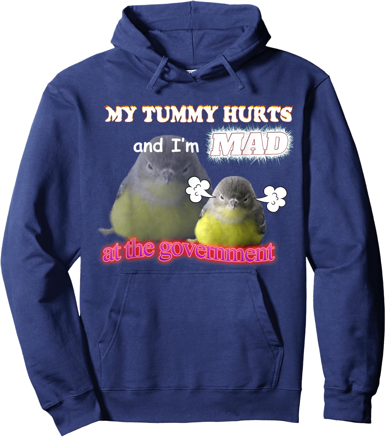 My Tummy Hurts And I'm Mad At The Government Birb Meme Hoodie - Hoodie | Navy