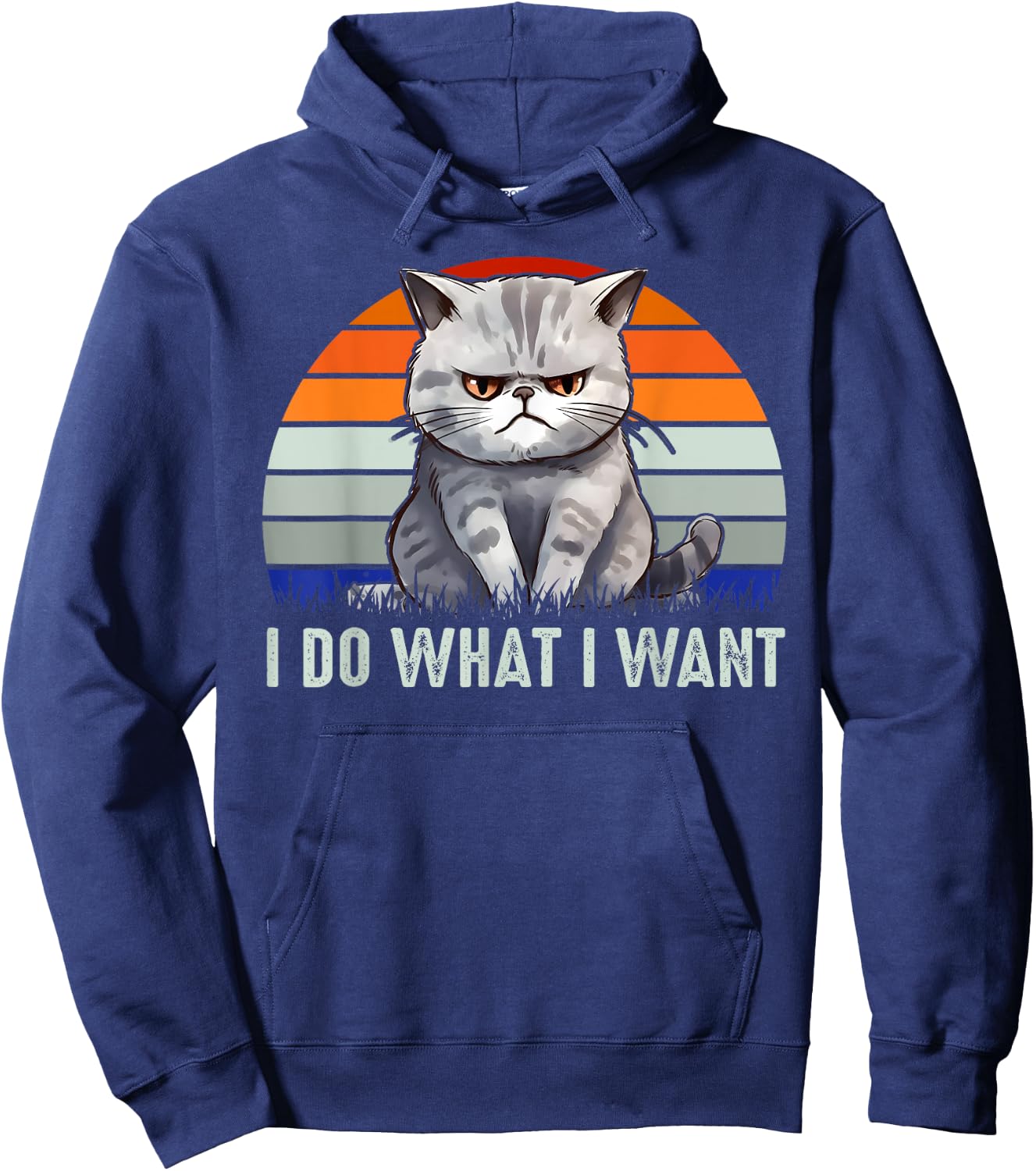 Funny I Do What I Want Retro Vintage Cat Lovers Cat Owners Hoodie - Hoodie | Navy