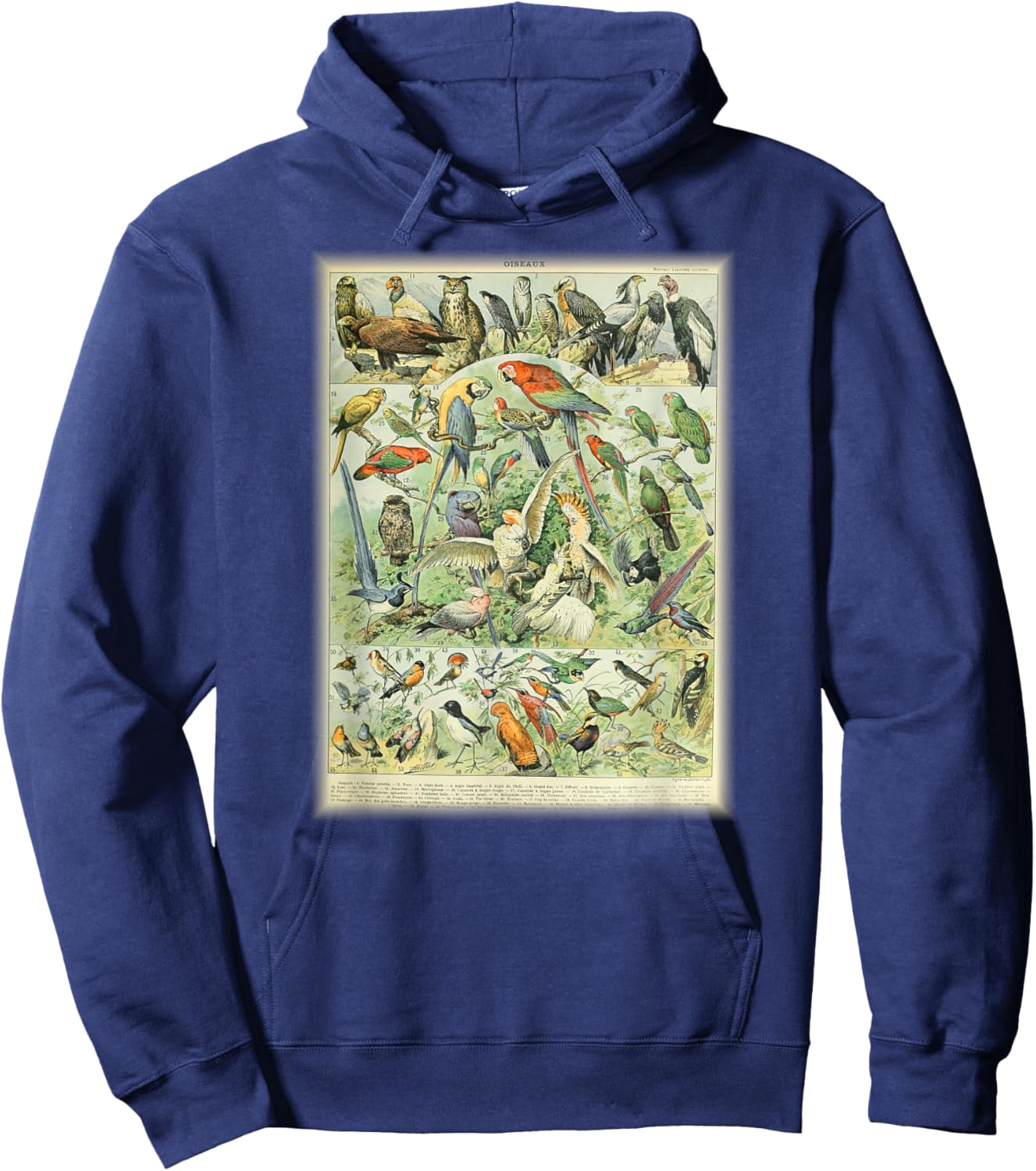 Scientific Bird Illustration Lover Biologist Birding Gift Hoodie - Hoodie | Navy