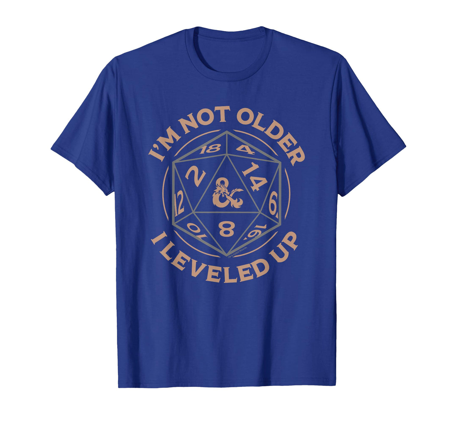 Dungeons & Dragons Birthday Level Up T-Shirt