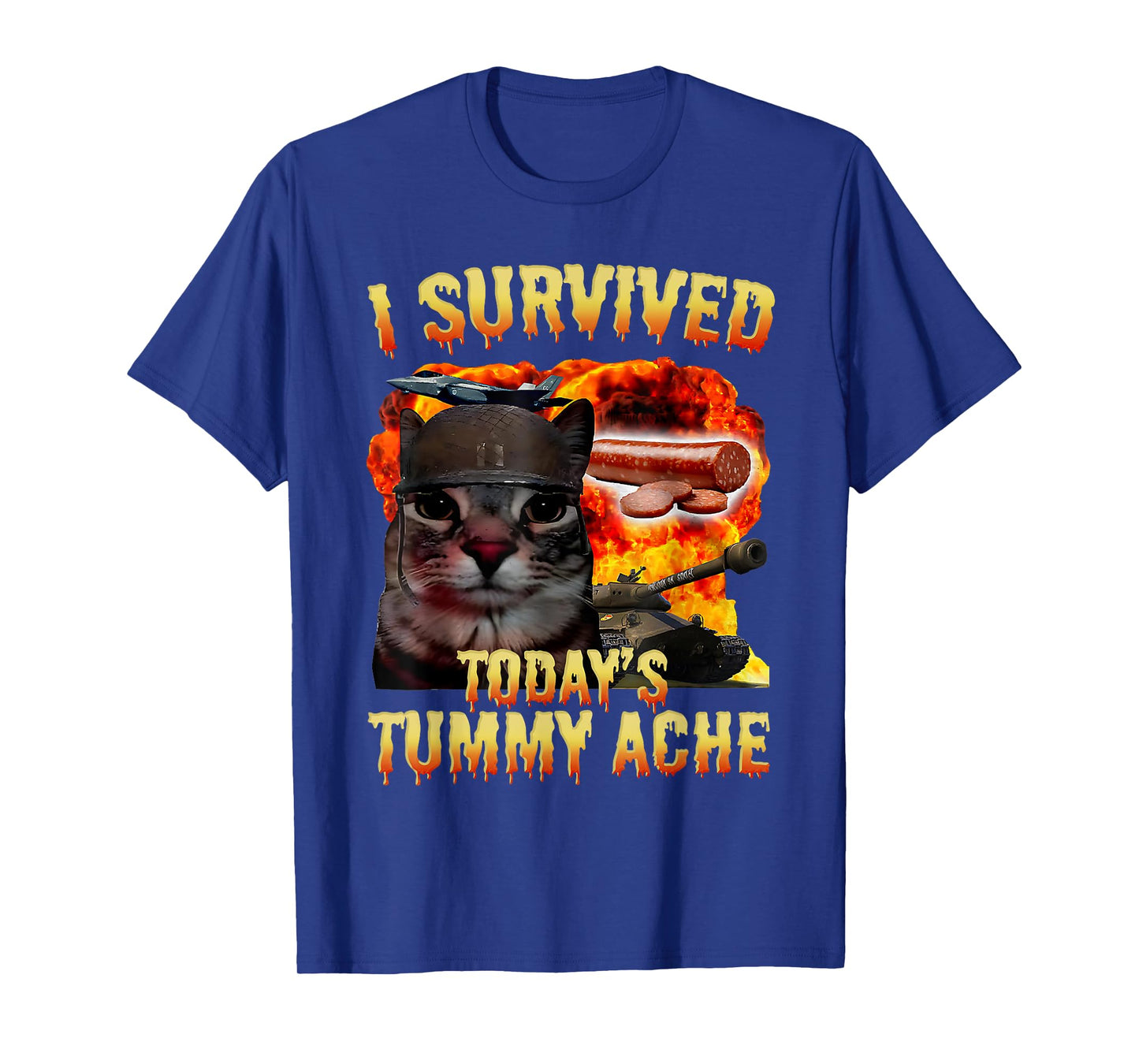 Tummy Ache Survivor Cat Meme Funny Saying Cats Animals Men Women Kids T-Shirt