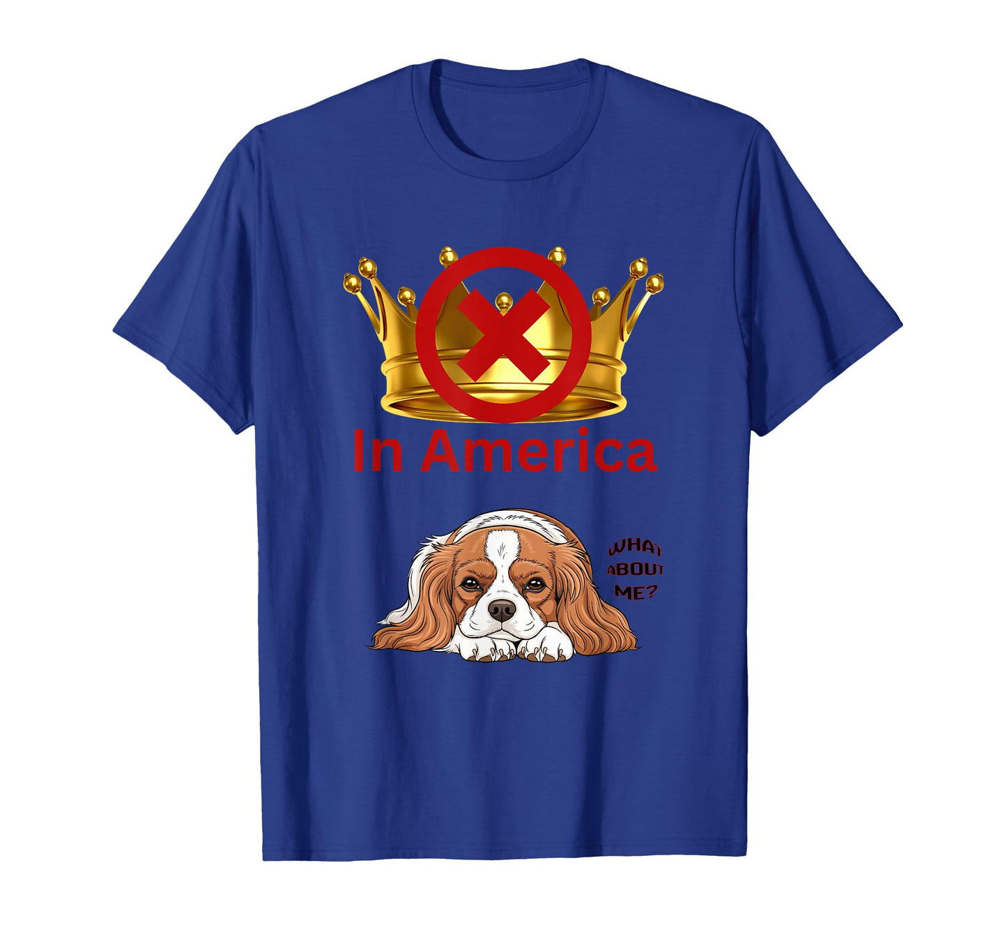 No Kings in America Apparel We The People Democracy USA T-Shirt