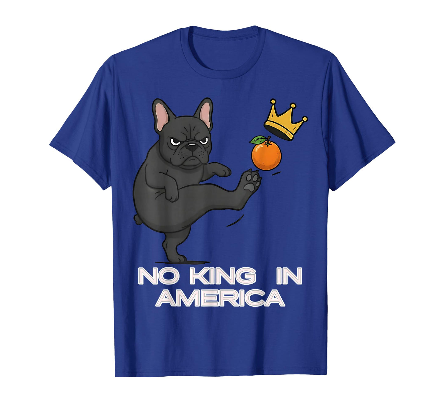 No Kings Protest Sign, We The People, in America No Kings T-Shirt