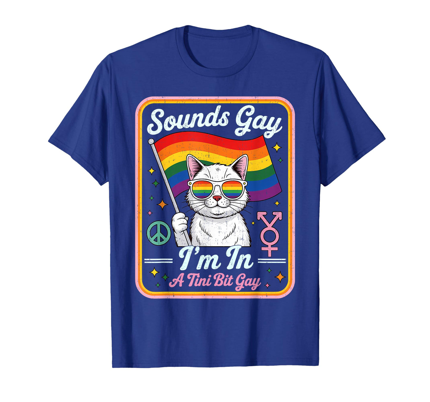 Hilarious LGBTQ Cat Holding Flag with A Tini Bit Gay Quote T-Shirt for Men Women Kids