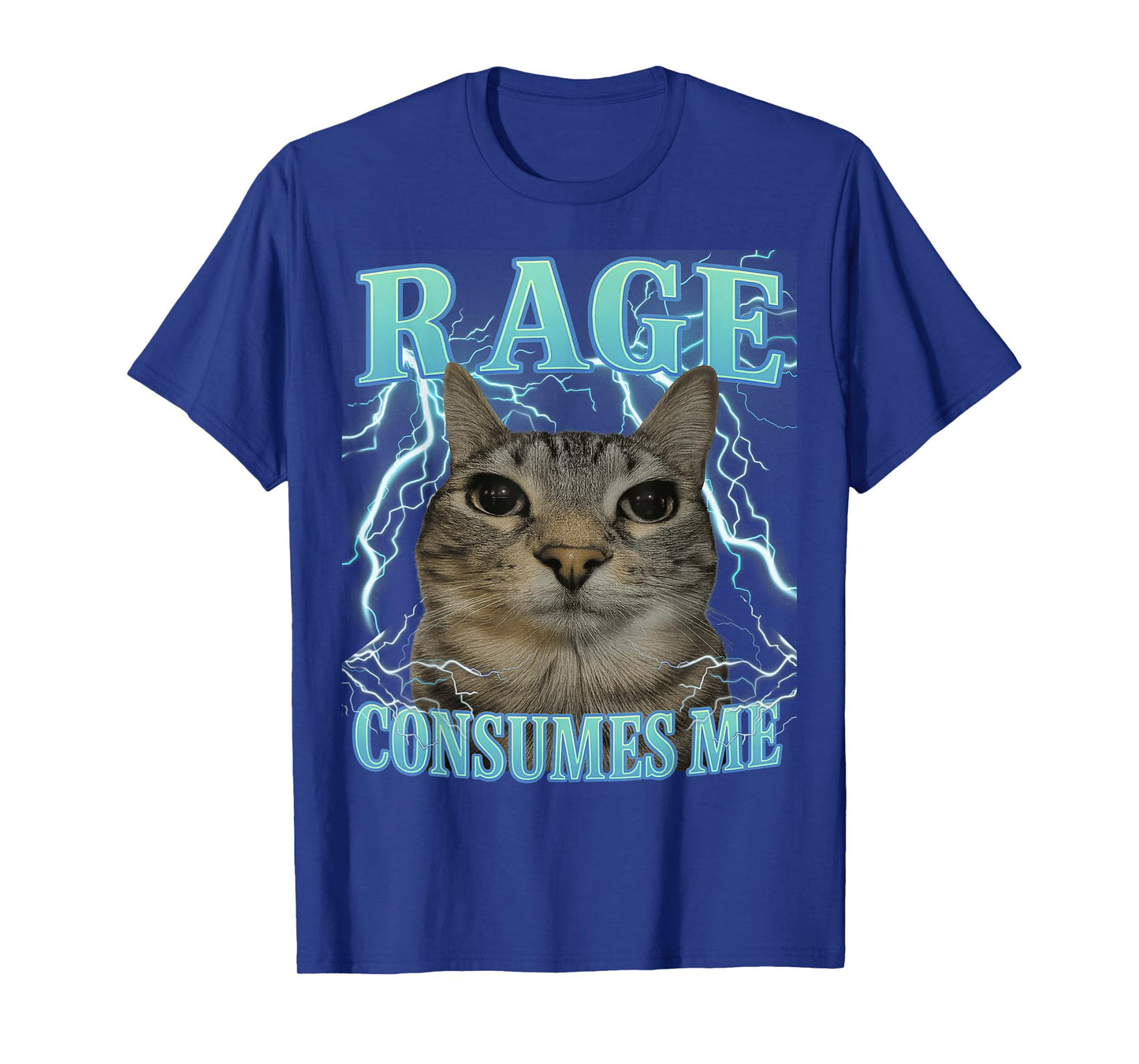 Rage Consumes Me Cat Silly Cat Meme Funny Men Women Graphic T-Shirt