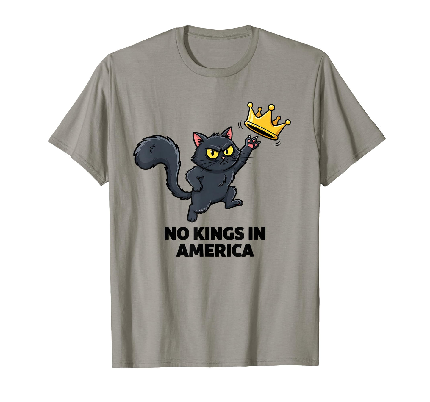 No Kings in America We The People Cat Democracy Patriotic T-Shirt