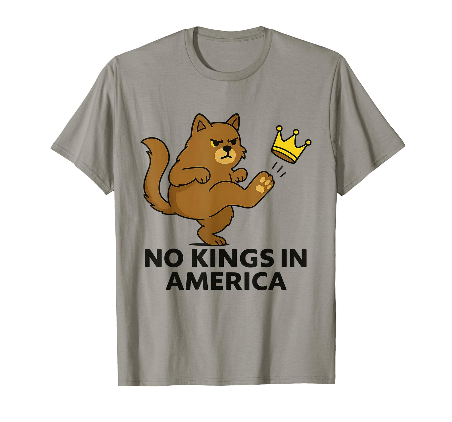 No Kings in America We The People Political Men Women T-Shirt