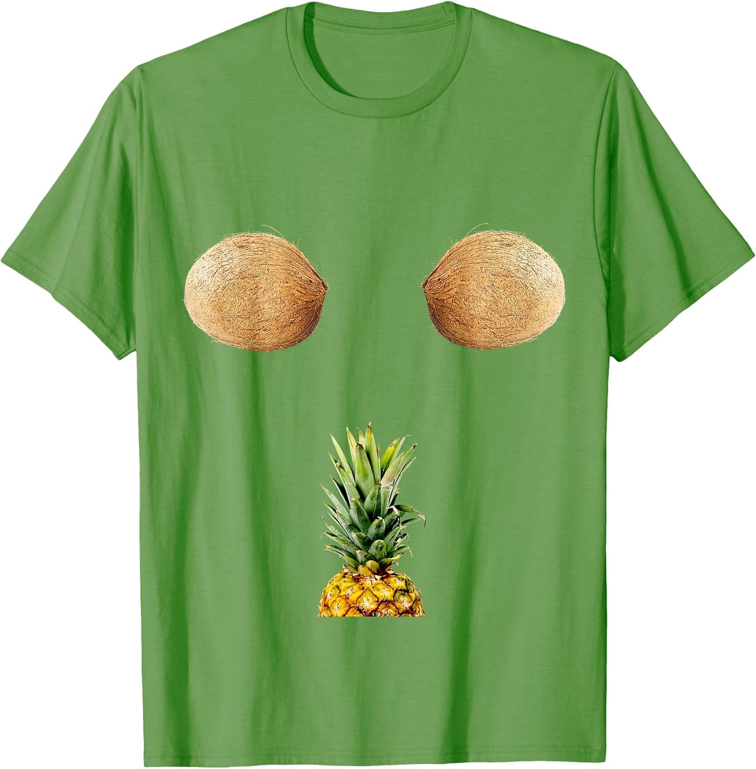 Holiday Coconut Bra and Pineapple Summer Fruit