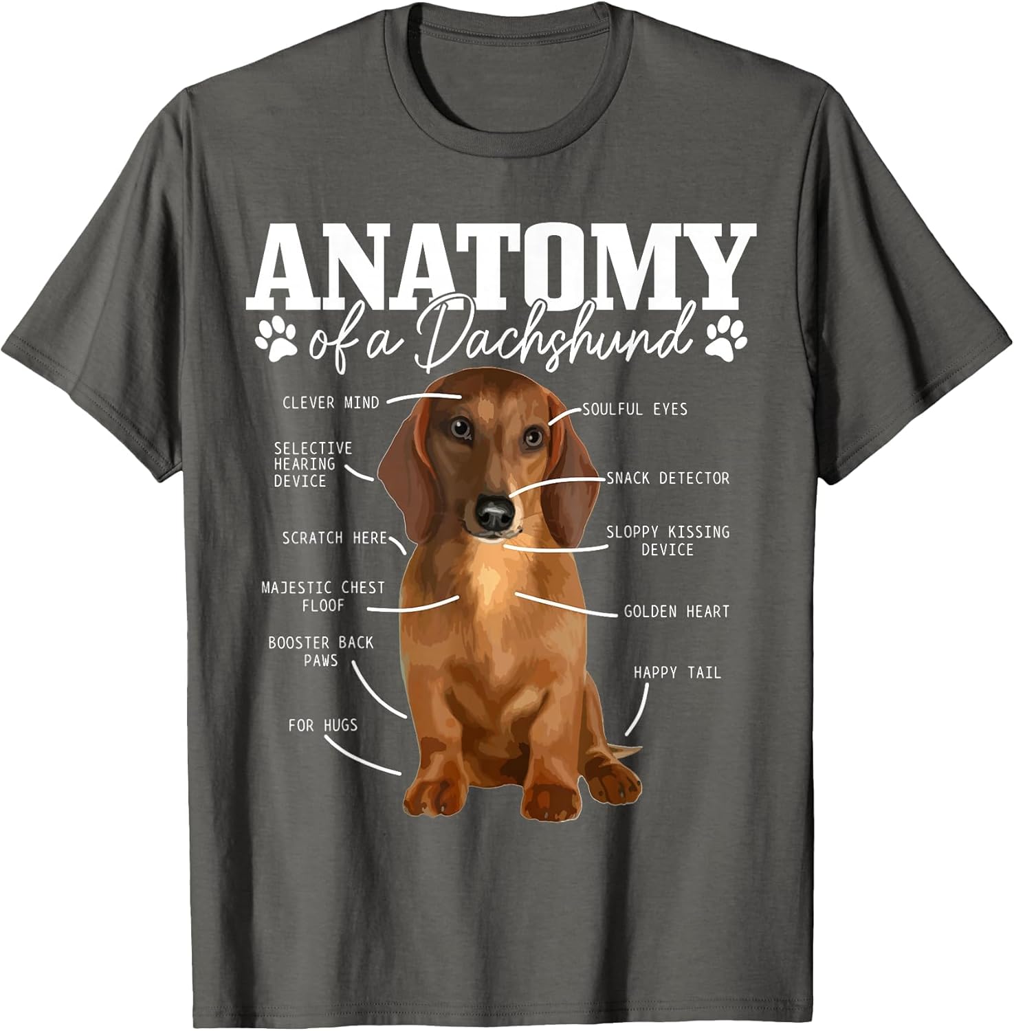 Anatomy of A Dachshund Funny Cute Wiener Dog Mom Dad