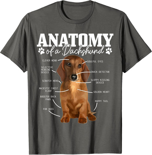 Anatomy of A Dachshund Funny Cute Wiener Dog Mom Dad