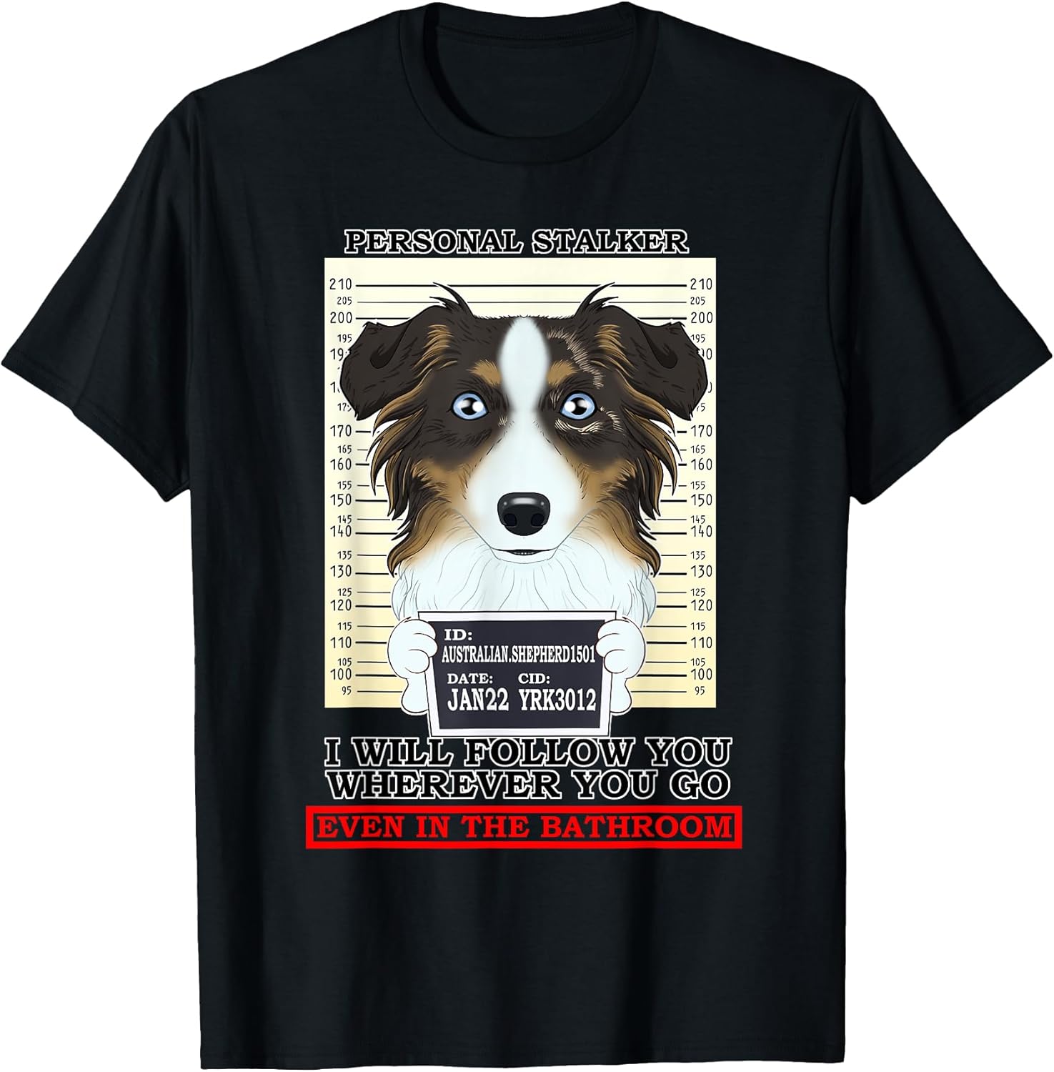 Personal Stalker Australian Shepherd