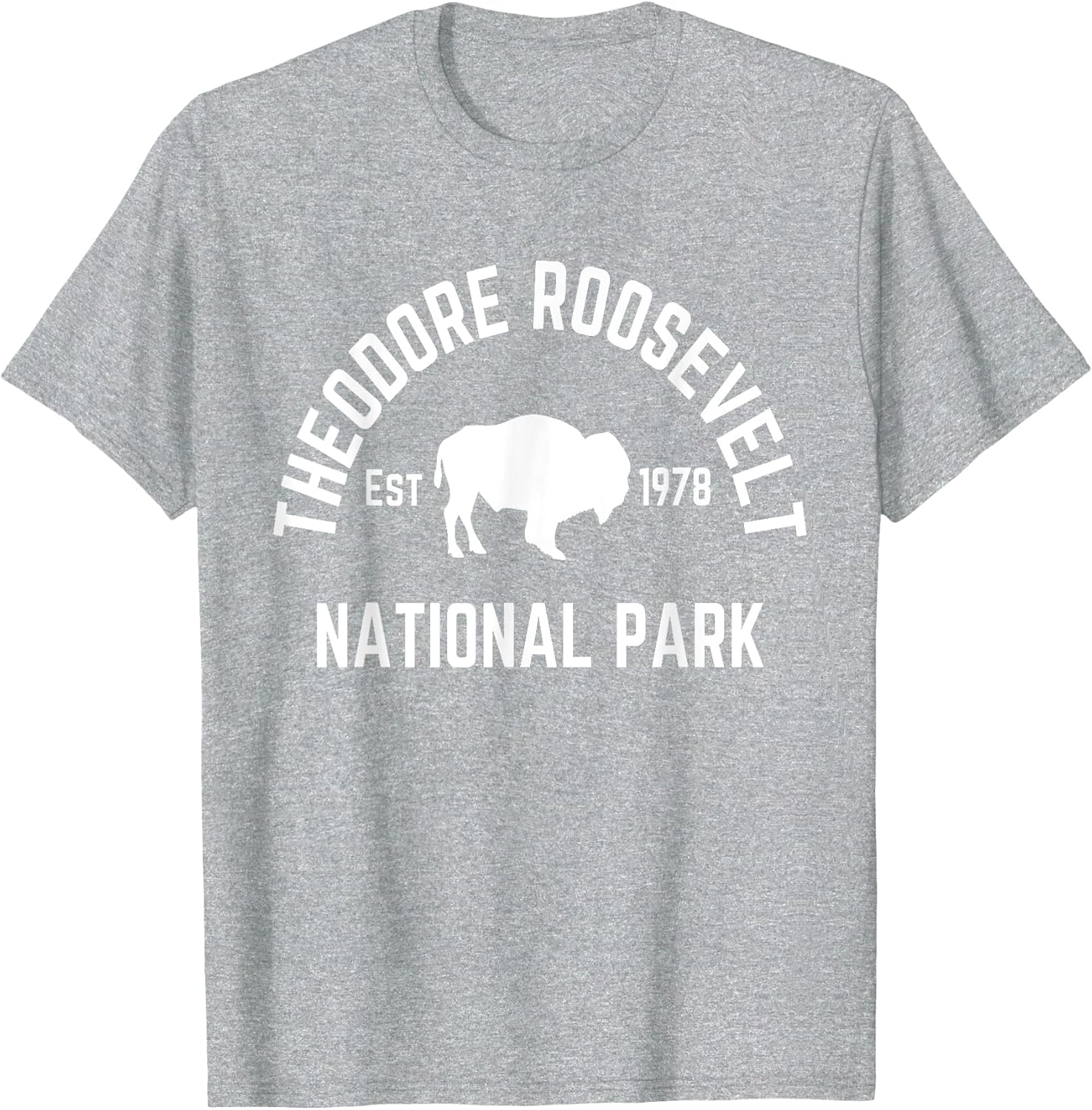 Theodore Roosevelt National Park Buffalo North Dakota Nature