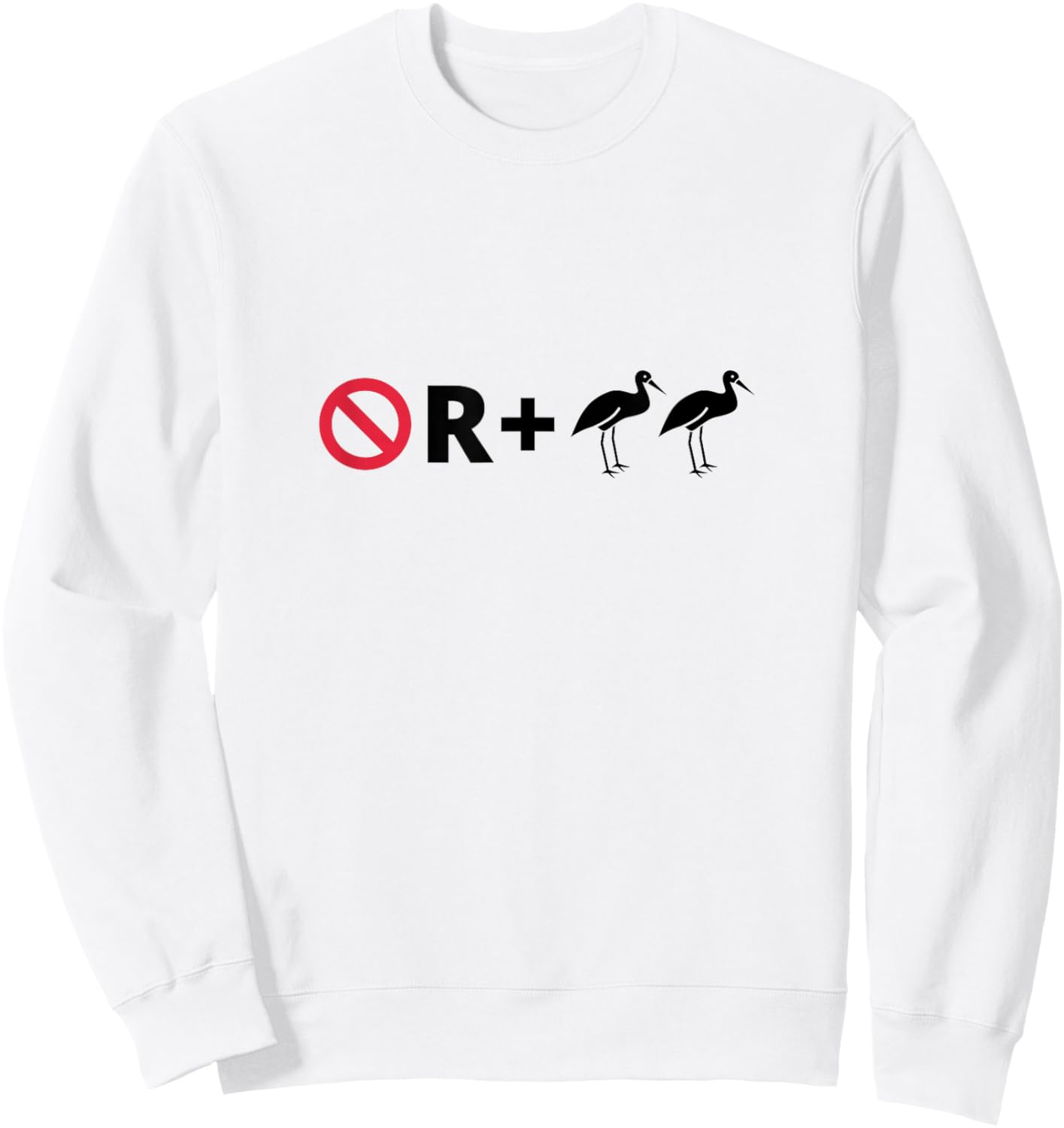 No R + Egrets Funny Pictogram Puzzle Pictograph Humor Sweatshirt - Sweatshirt | White