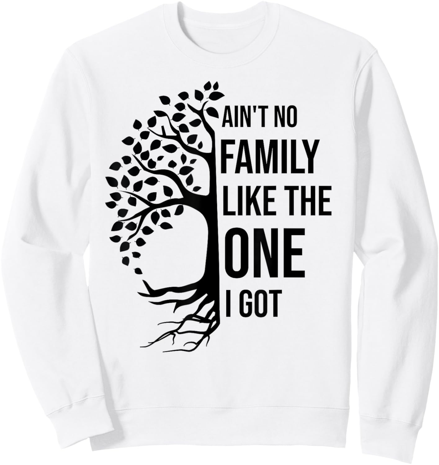 Ain't No Family Like The One I Got Funny Family Reunion Sweatshirt - Sweatshirt | White