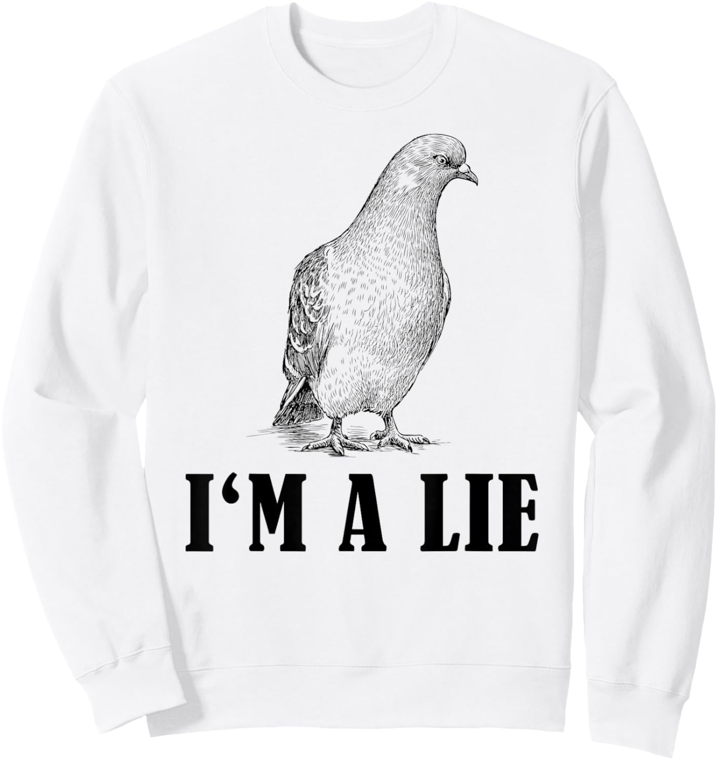 Birds Spie Conspiracy Joke Meme Surveillance | & Sweatshirt - Sweatshirt | White