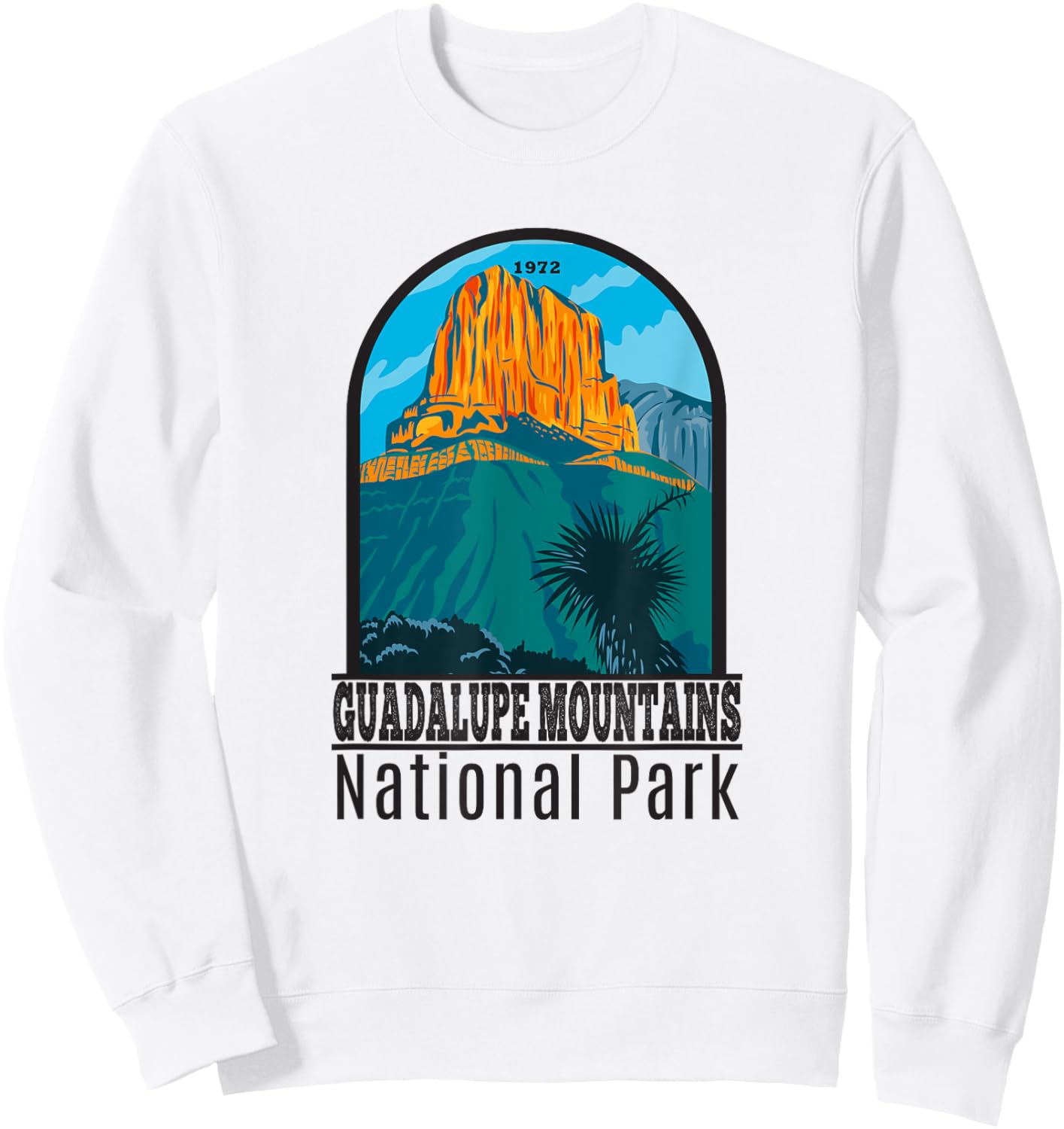 Guadalupe Mountains National Park Vintage Sweatshirt - Sweatshirt | White