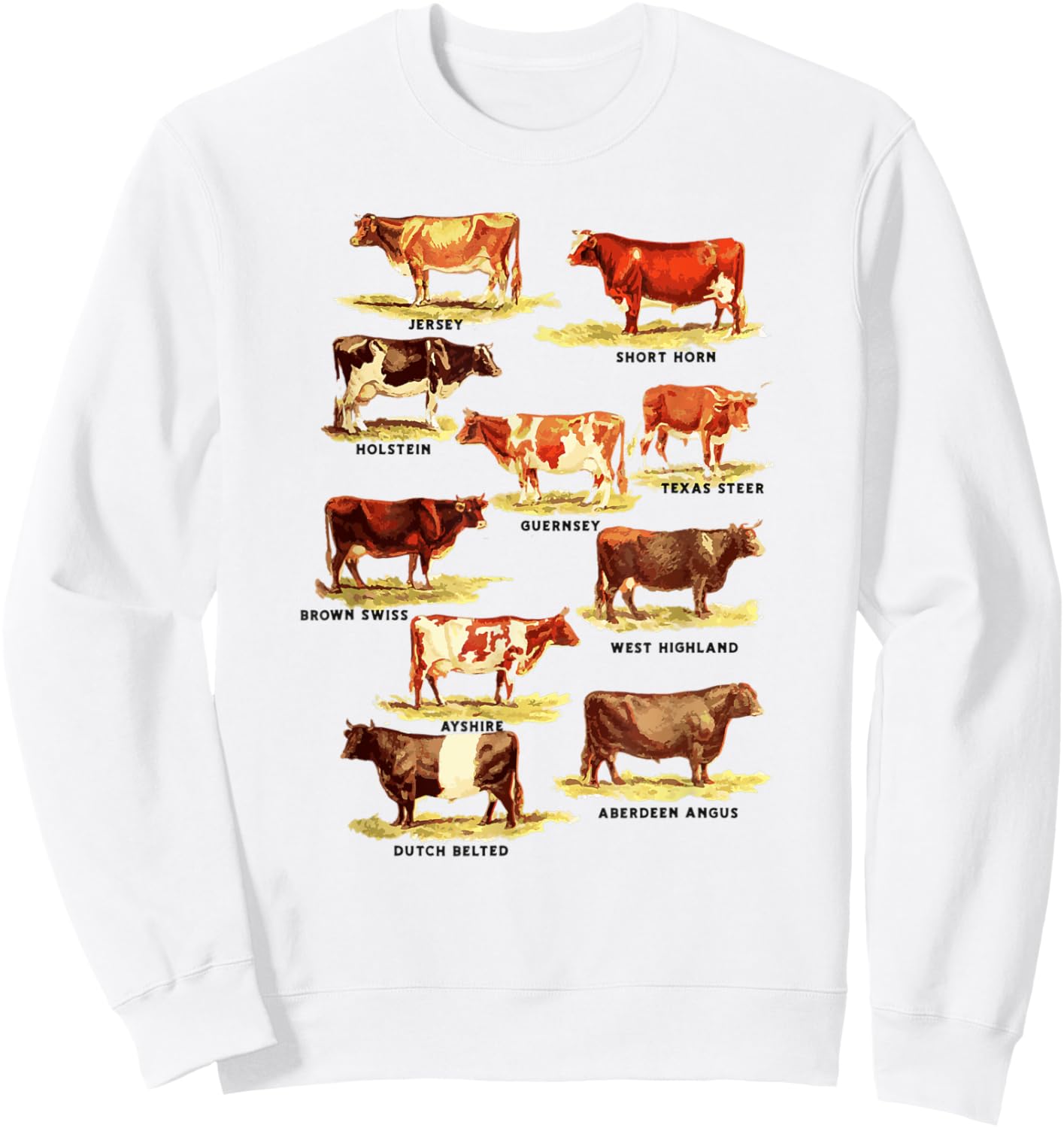 Vintage Cow Breeds Retro Farmer Beef and Dairy Graphic Sweatshirt - Sweatshirt | White