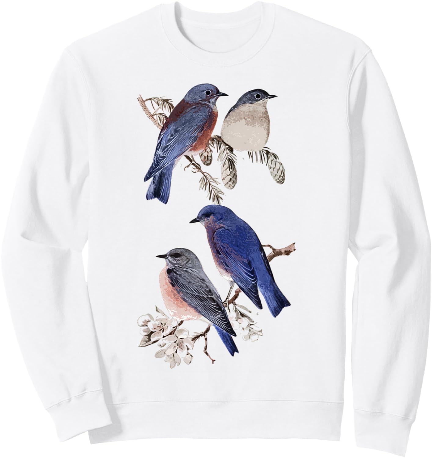 Patience Bluebird of Happiness Blue Bird Eastern Bluebird Sweatshirt - Sweatshirt | White