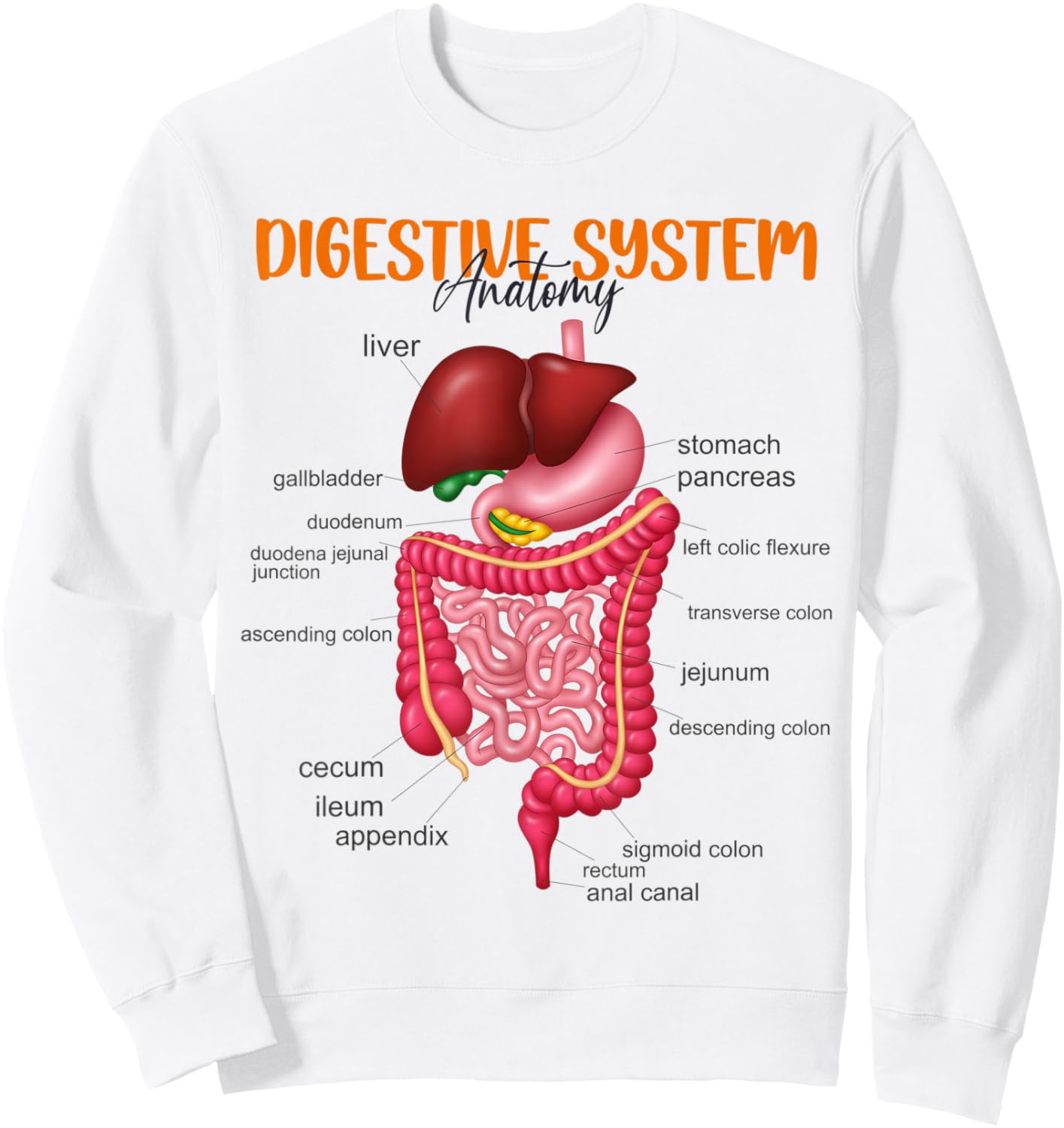 Funny Digestive System Anatomy Anatomical Biology Teacher Women Sweatshirt - Sweatshirt | White