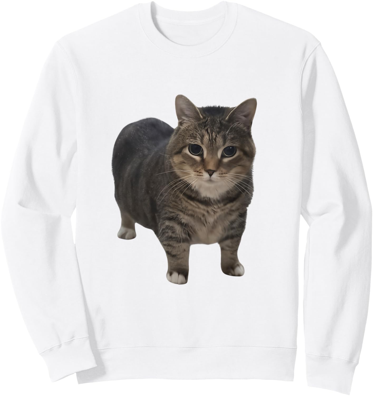 Funny oiia oiia Spinning Cat Meme Oiiai Oiiiai brainrot Men Women Kids Sweatshirt - Sweatshirt | White