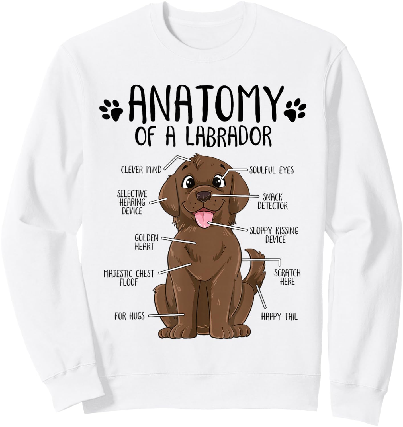 Funny Anatomy Labrador Retriever Chocolate Lab Dog Owner Sweatshirt - Sweatshirt | White