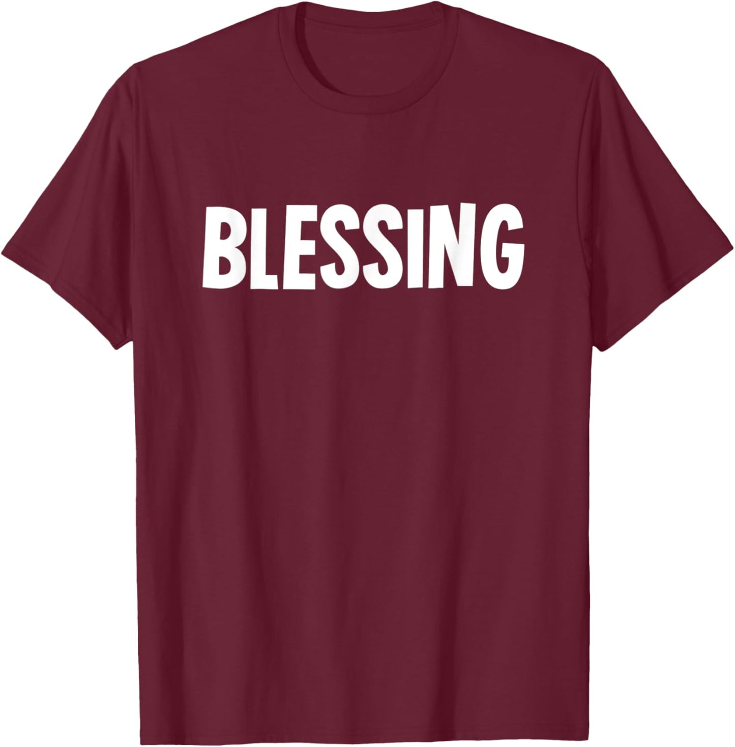 Blessing in Disguise Funny Halloween Costume Idea Funny T-Shirt - T-Shirt | Maroon