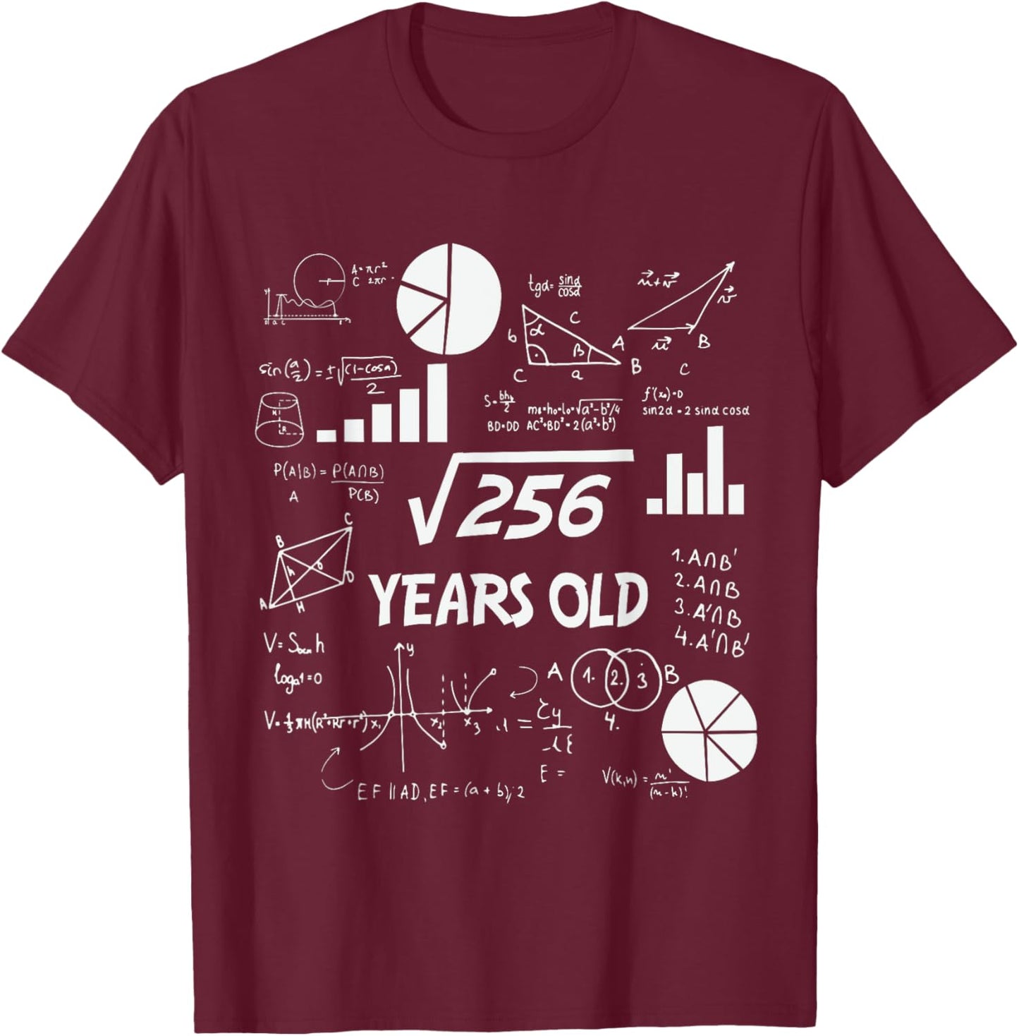 16th Birthday Square Root of 256 Math 16 Years Old Birthday T-Shirt - T-Shirt | Maroon