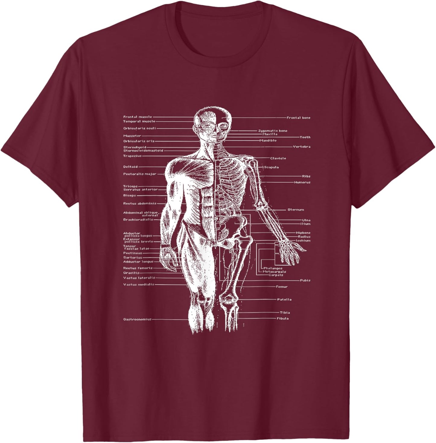 Human Body Muscle Anatomy Doctor T-Shirt - T-Shirt | Maroon