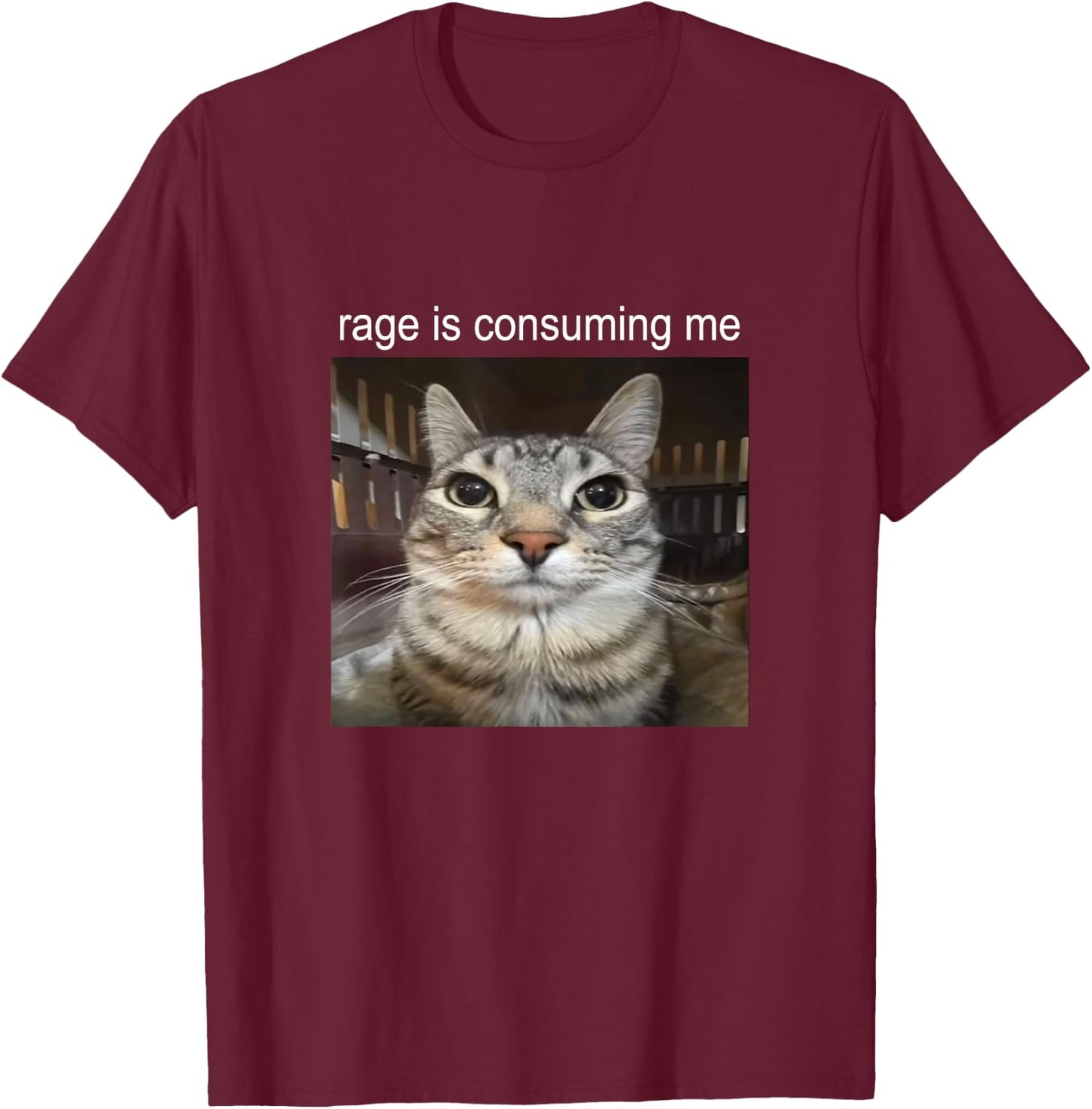 Rage is Consuming Me Silly Staring Cat Meme T-Shirt - T-Shirt | Maroon