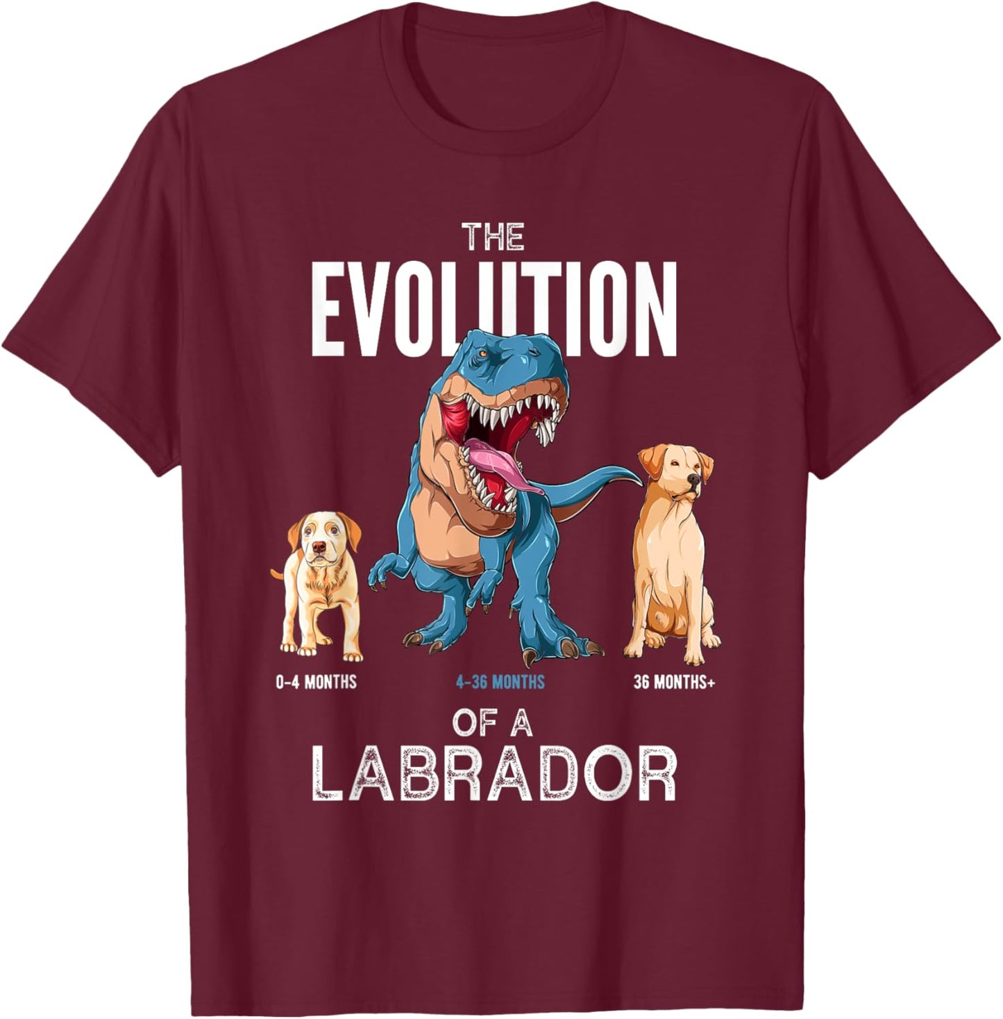 The Evolution of a Labrador or Evolution of dogs T-Shirt - T-Shirt | Maroon
