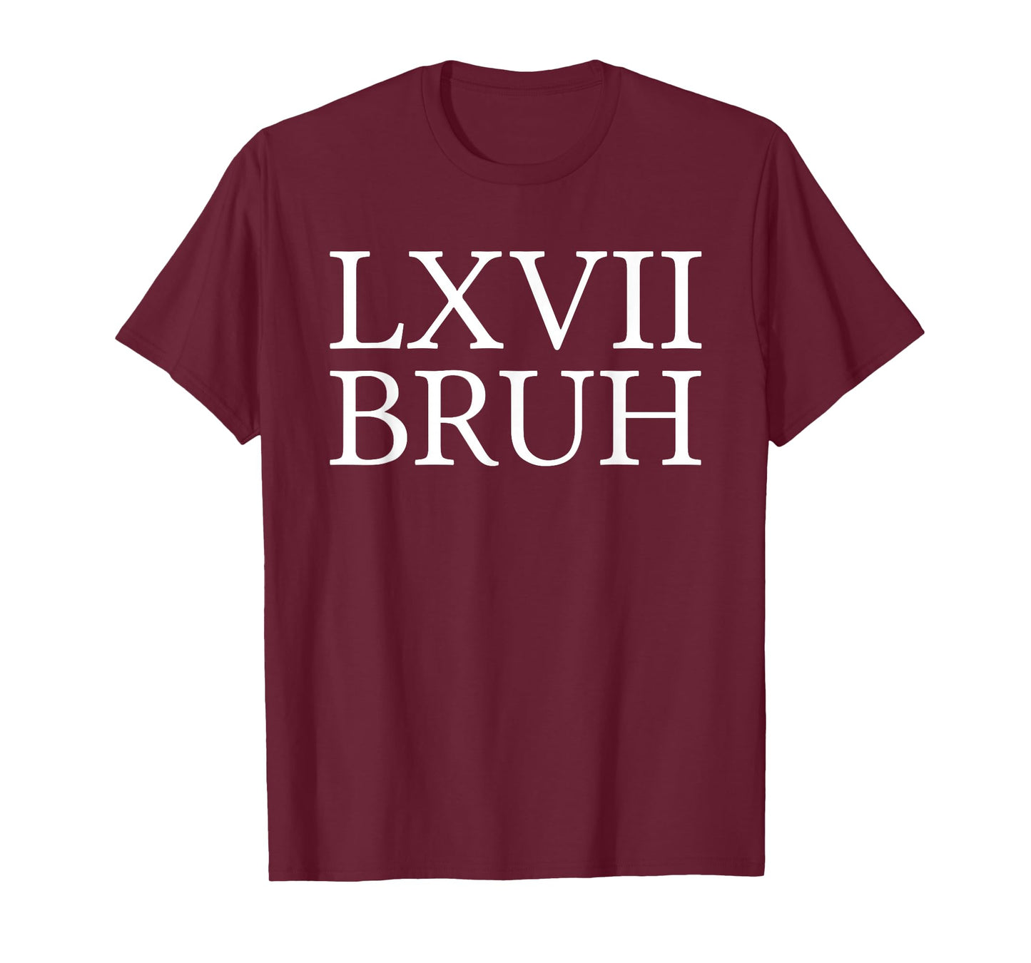 67 History Meme Six Seven Bruh Funny History Teacher T-Shirt