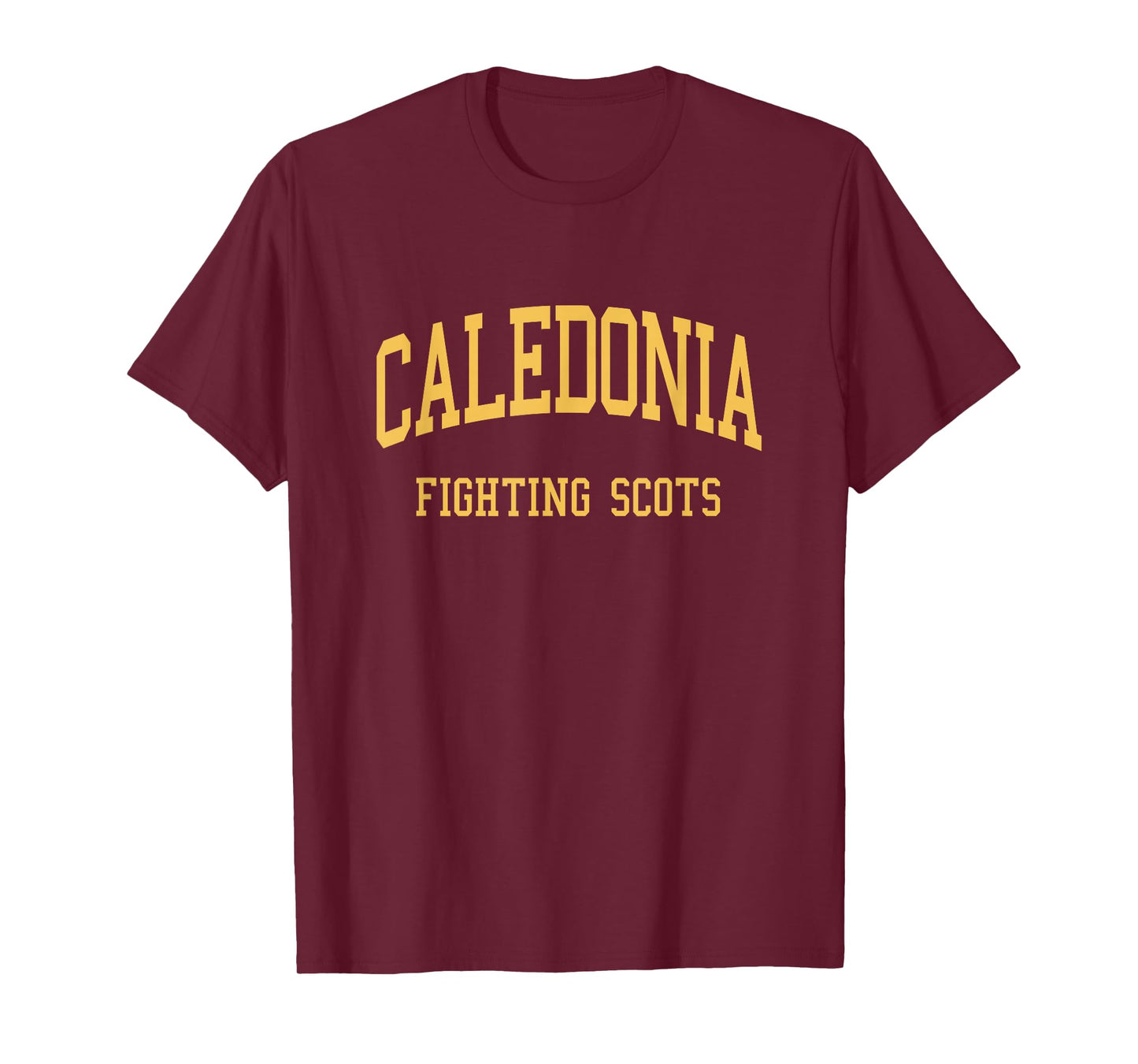 Caledonia High School HS Caledonia MI Retro Sports T-Shirt