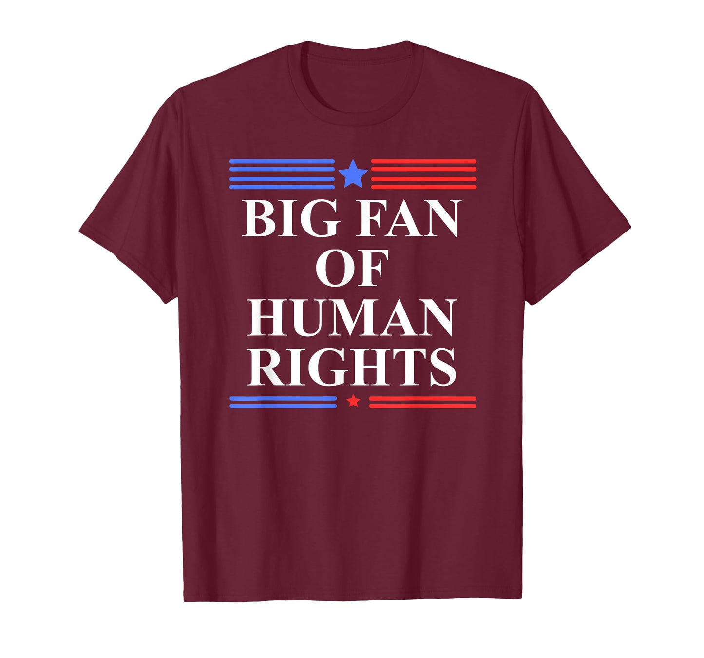 Big Fan of Human Rights Protest Signs No Kings Pro Democracy T-Shirt