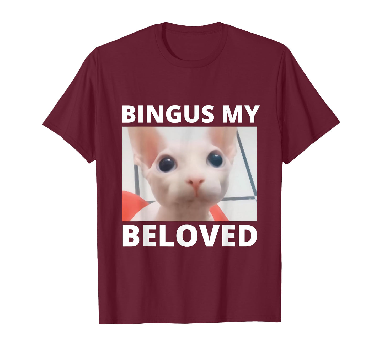 Funny Bingus My Beloved Hairless Sphinx Cat Bingus Cat Meme Men Women Girls Kids T-Shirt
