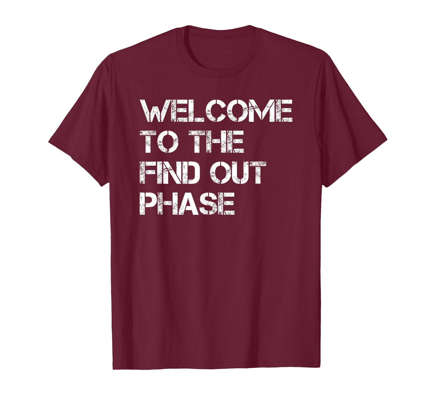 FAFO Welcome to the Find Out Phase T-Shirt