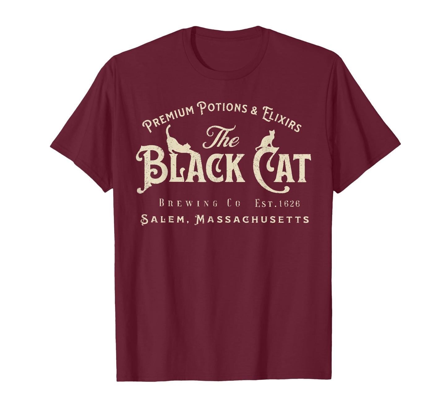 The Black Cat Witchy Salem Est 1626 Halloween Cat Lover Gift T-Shirt