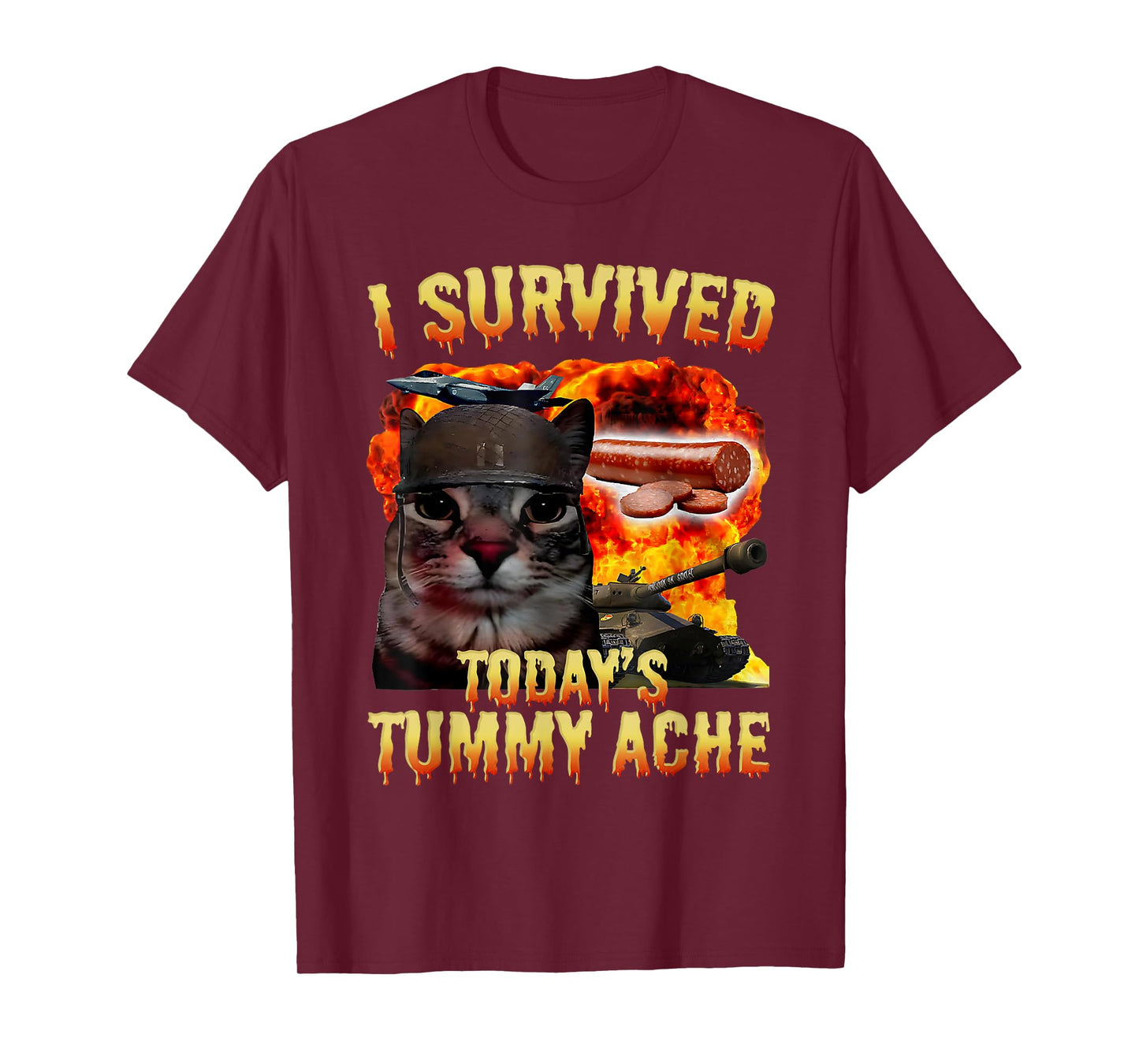 Tummy Ache Survivor Cat Meme Funny Saying Cats Animals Men Women Kids T-Shirt
