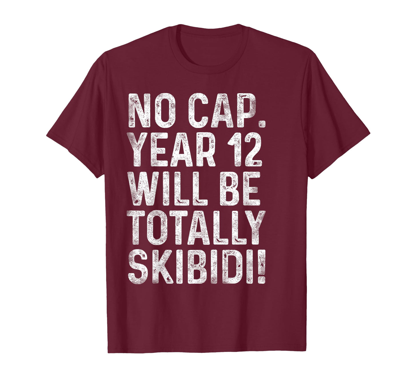 Funny 12 Year Old Gifts BDay Boy 12th Birthday Born in 2013 T-Shirt