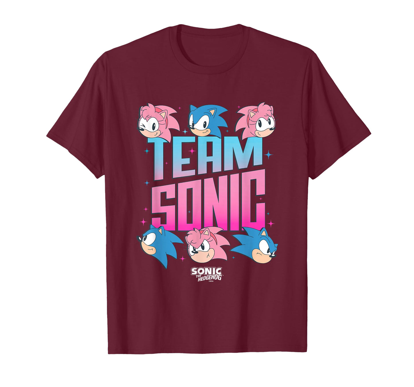 Sonic The Hedgehog Team Sonic Amy Rose Retro Logo T-Shirt