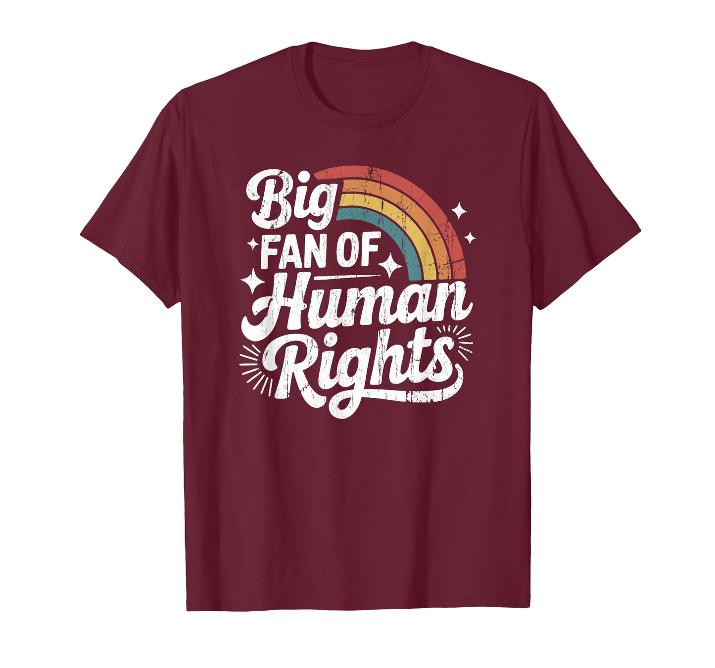 Big Fan of Human Rights, Social Justice, Equality T-Shirt